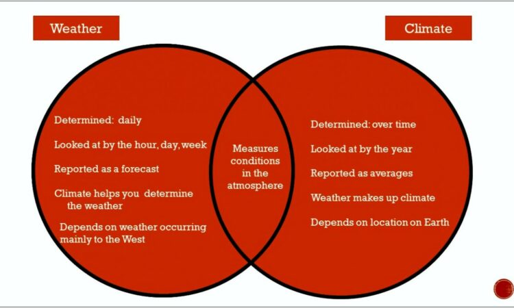 Stocks Vs Mutual Funds Venn Diagram