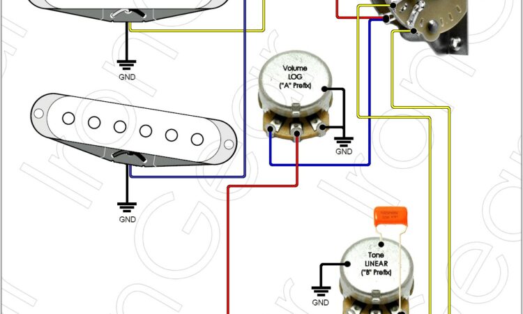 Strat Wiring Diagram 5 Way Switch