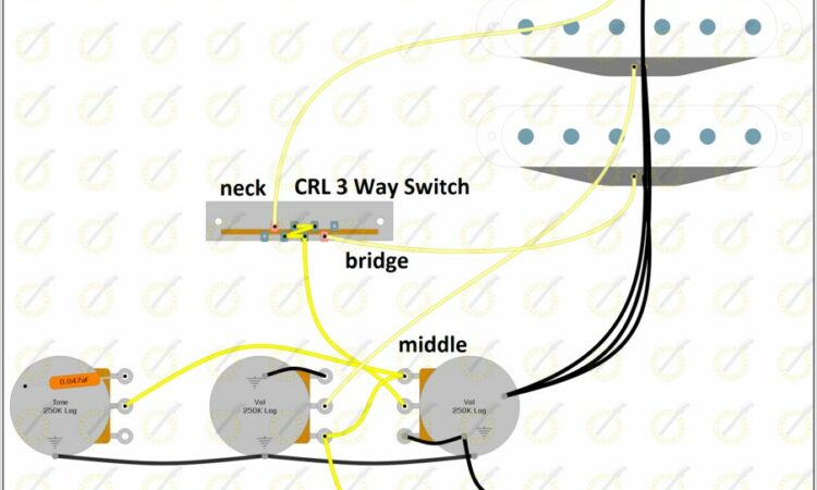 Stratocaster Wiring Diagram 3 Way Switch