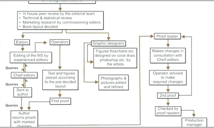 Swimlane Diagram Online Free