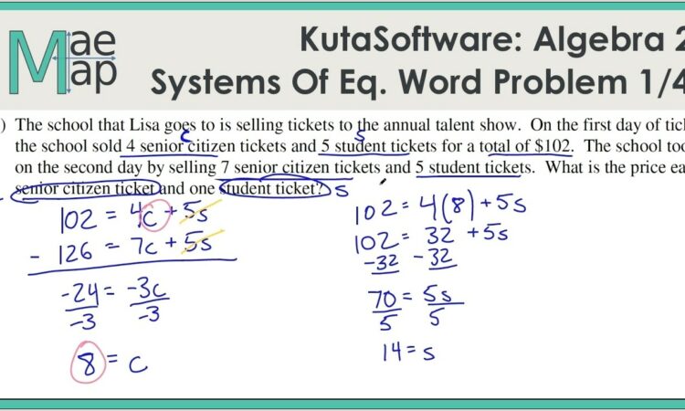 System Of Equations Word Problems Percentage