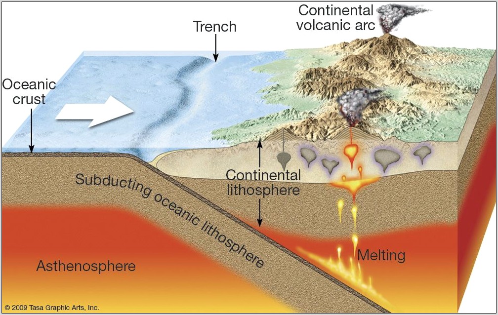 Tasa Plate Tectonics Worksheet