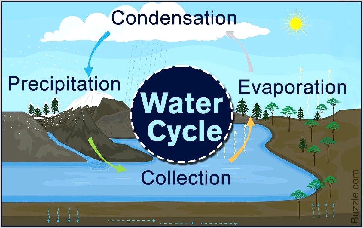 The Water Cycle Worksheet Evaporation Condensation Precipitation