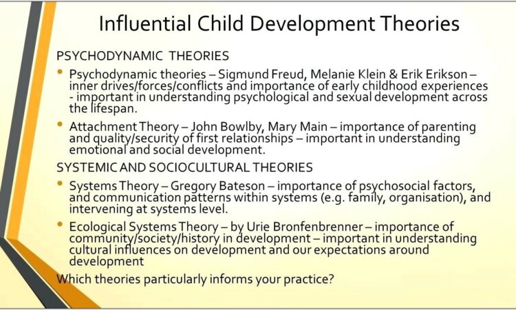 Theories Of Child Development Worksheet