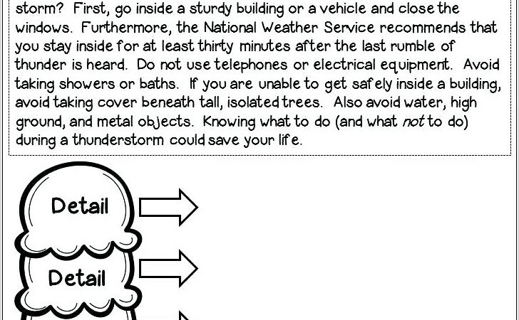 Third Grade Main Idea And Details Worksheets