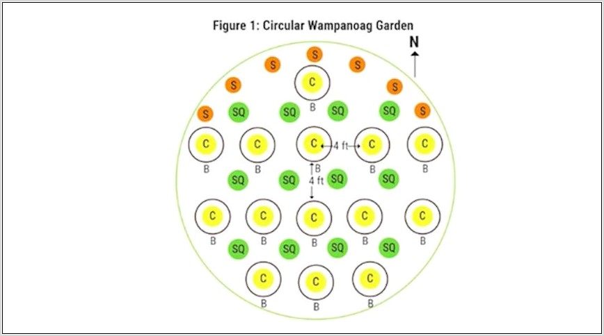 Three Sisters Planting Diagram