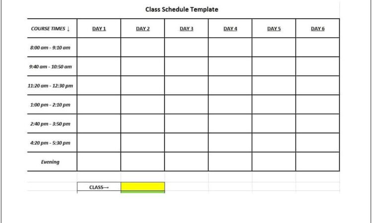 Time Management Worksheet 8 Classes