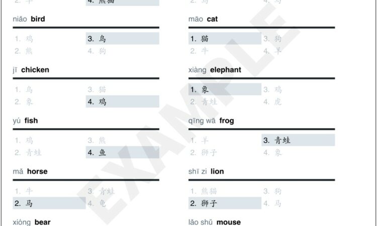 Time Worksheets Level 1