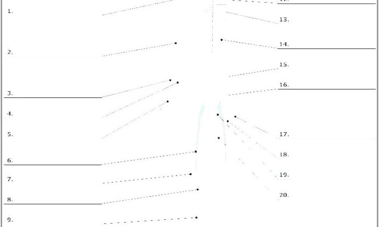 Timeline Worksheets For Grade 4