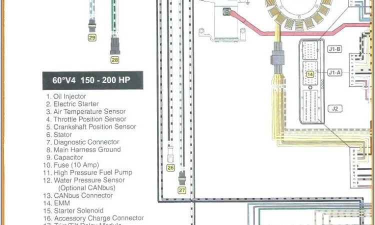 Tracker Boat Trailer Wiring Diagram