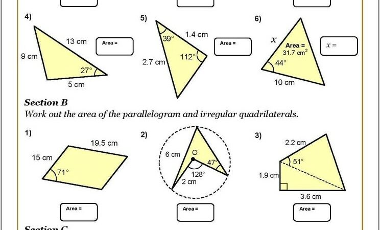 Triangle Area Printable Worksheet