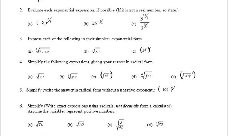 Turkey Quotient Math Worksheet Answers