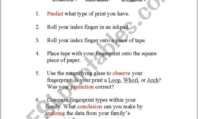 Using Scientific Method Worksheet