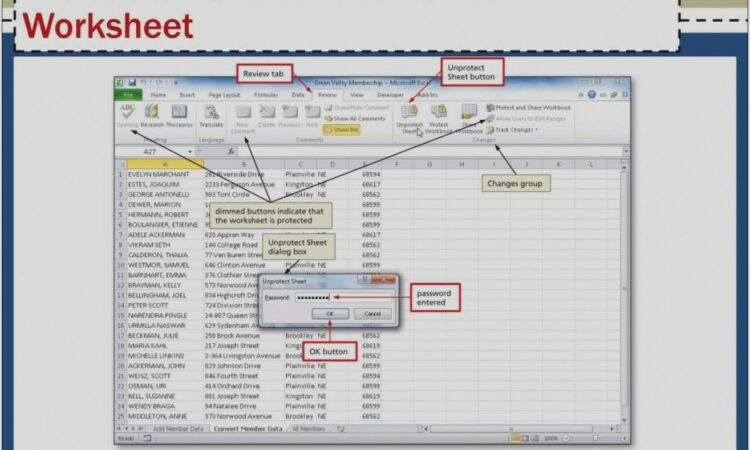 Vba Protect Excel Sheet With Password