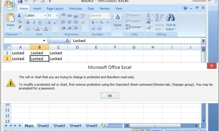 Vba Protect Sheet Unlock Cells