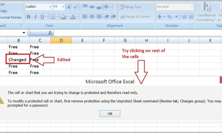 Vba Protect Sheet With Password Excel 2010