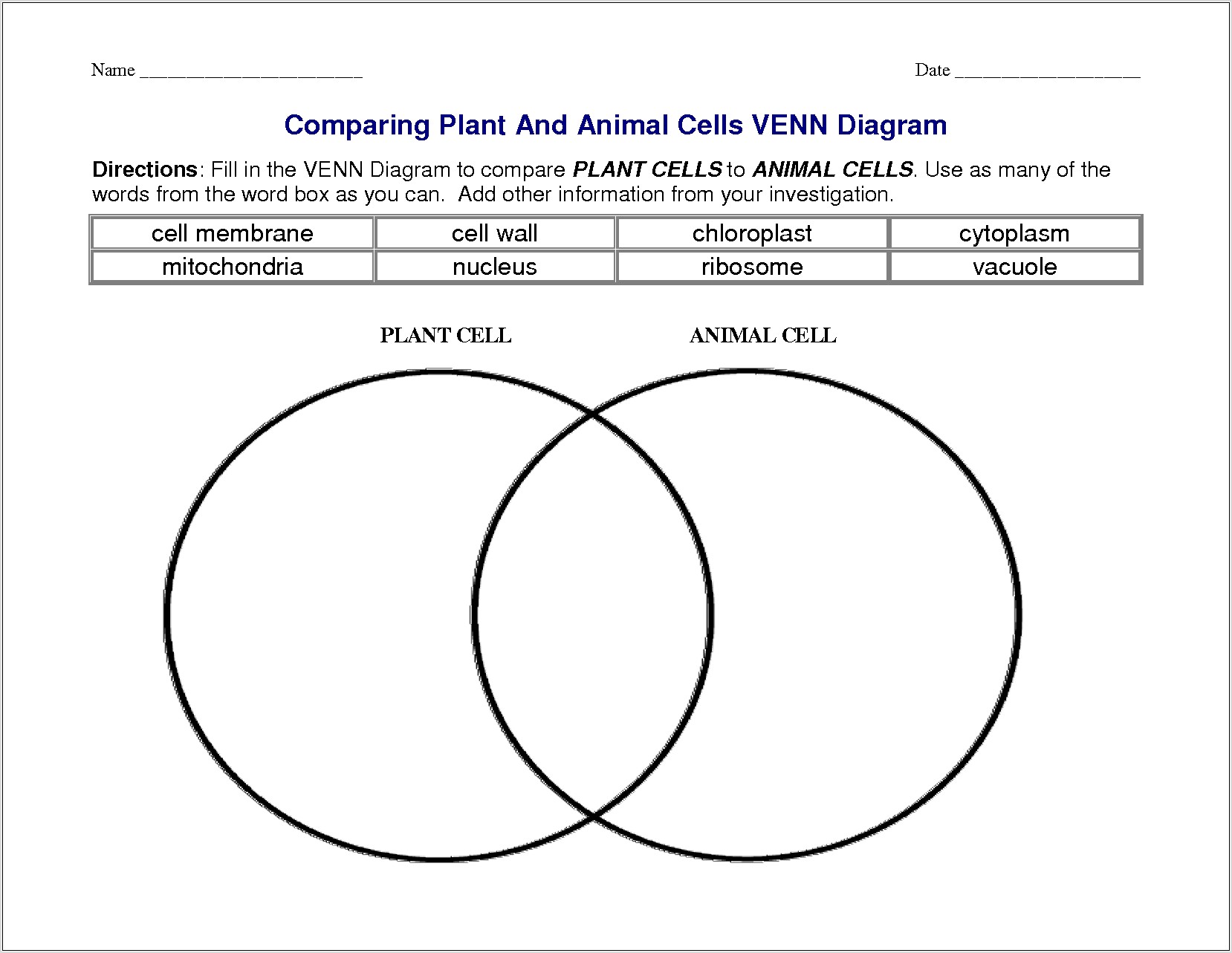 Venn Diagram Worksheet Examples