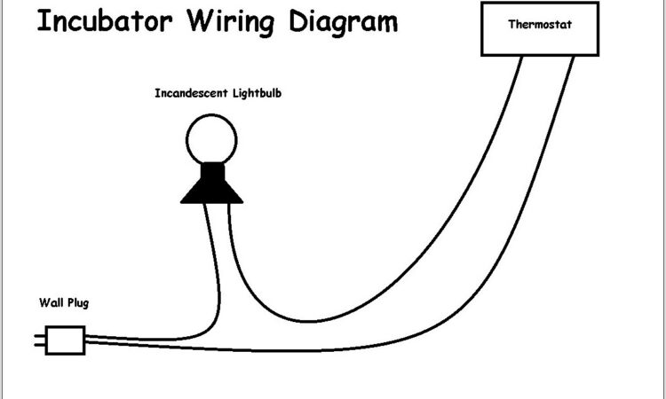 Wafer Thermostat Wiring Diagram