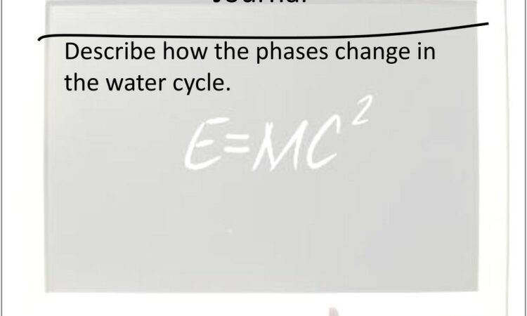 Water Cycle Homework Worksheet