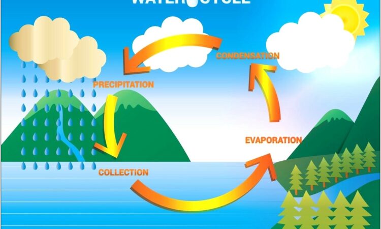 Water Cycle Labelling Worksheet Ks2