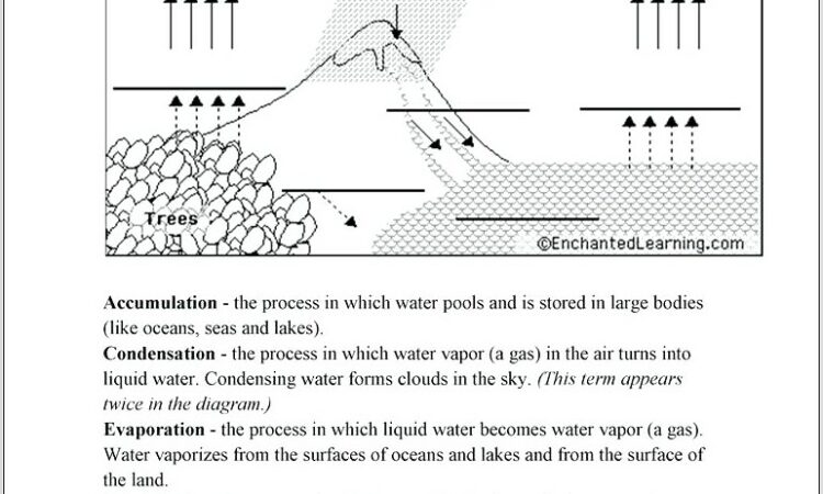 Water Cycle Review Worksheet