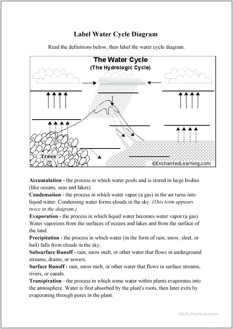 Water Cycle Review Worksheet