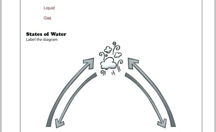 Water Cycle Stages Worksheet