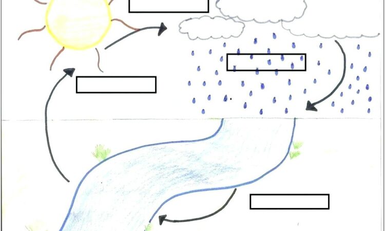 Water Cycle Template Worksheet