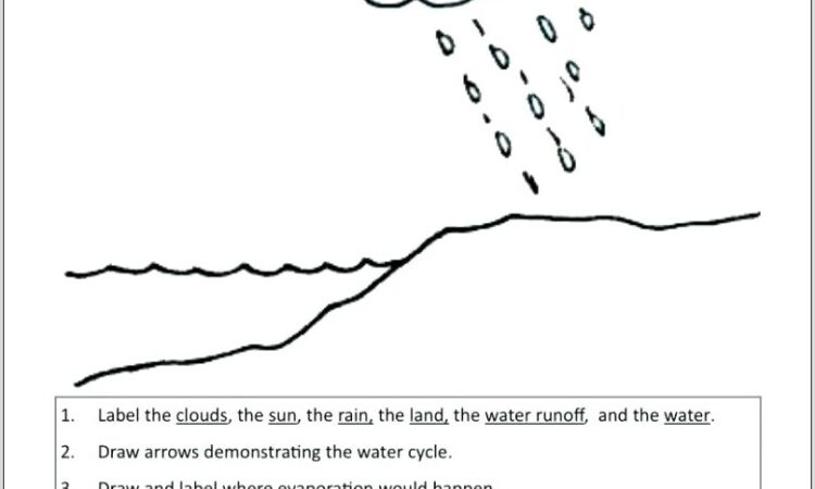 Water Cycle Worksheet 4th Grade