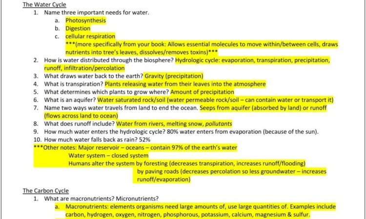 Water Cycle Worksheet And Answers