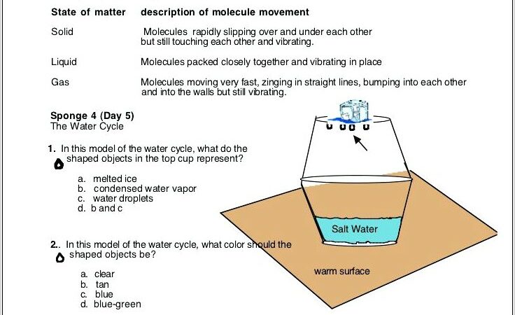 Water Cycle Worksheet Bill Nye