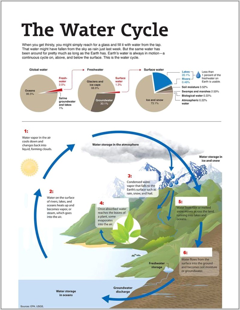 Water Cycle Worksheet Biology