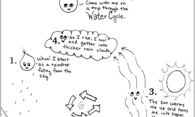 Water Cycle Worksheet Blank