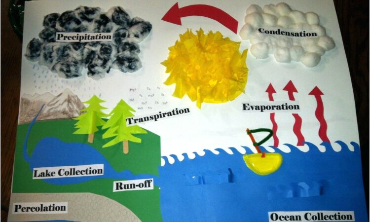 Water Cycle Worksheet Early Years