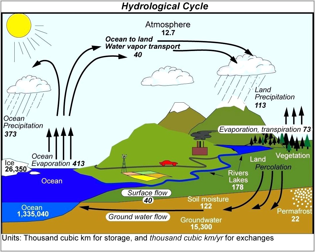 Water Cycle Worksheet Earth Science