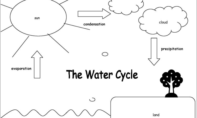 Water Cycle Worksheet For 2nd Grade