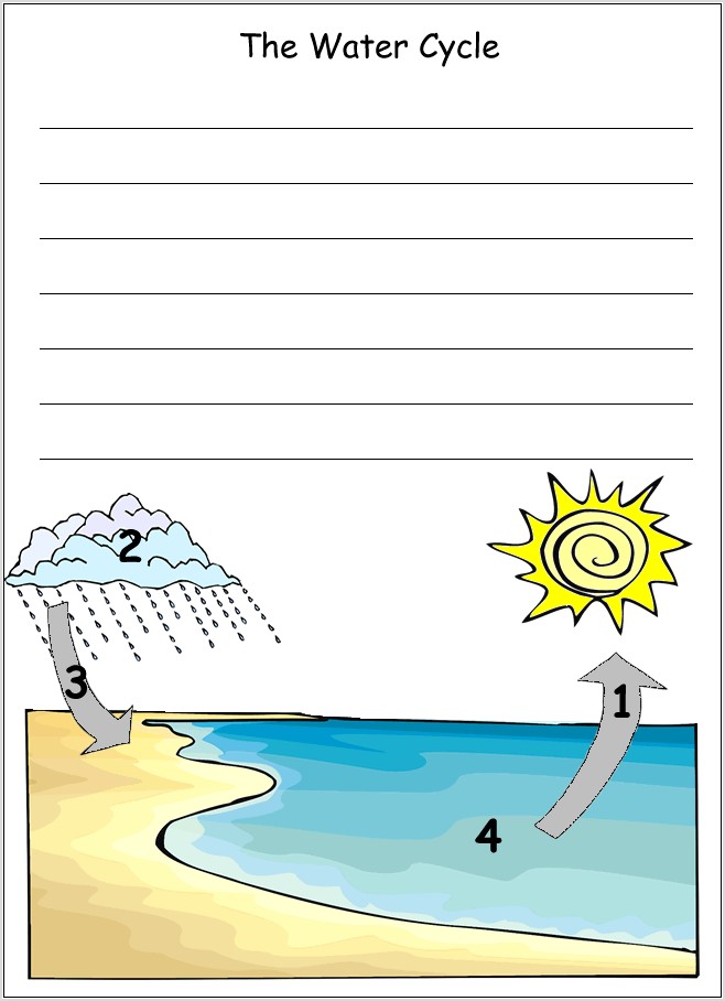 Water Cycle Worksheet For First Grade