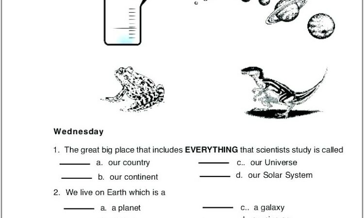 Water Cycle Worksheet For Grade 2