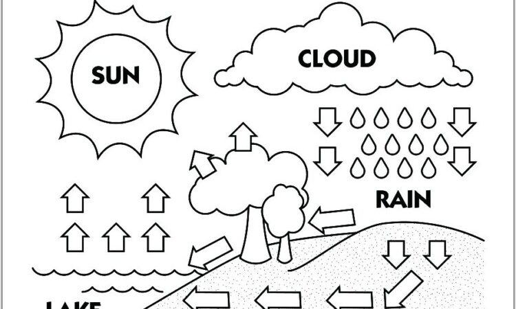 Water Cycle Worksheet High School