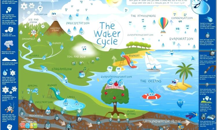 Water Cycle Worksheet Ks1