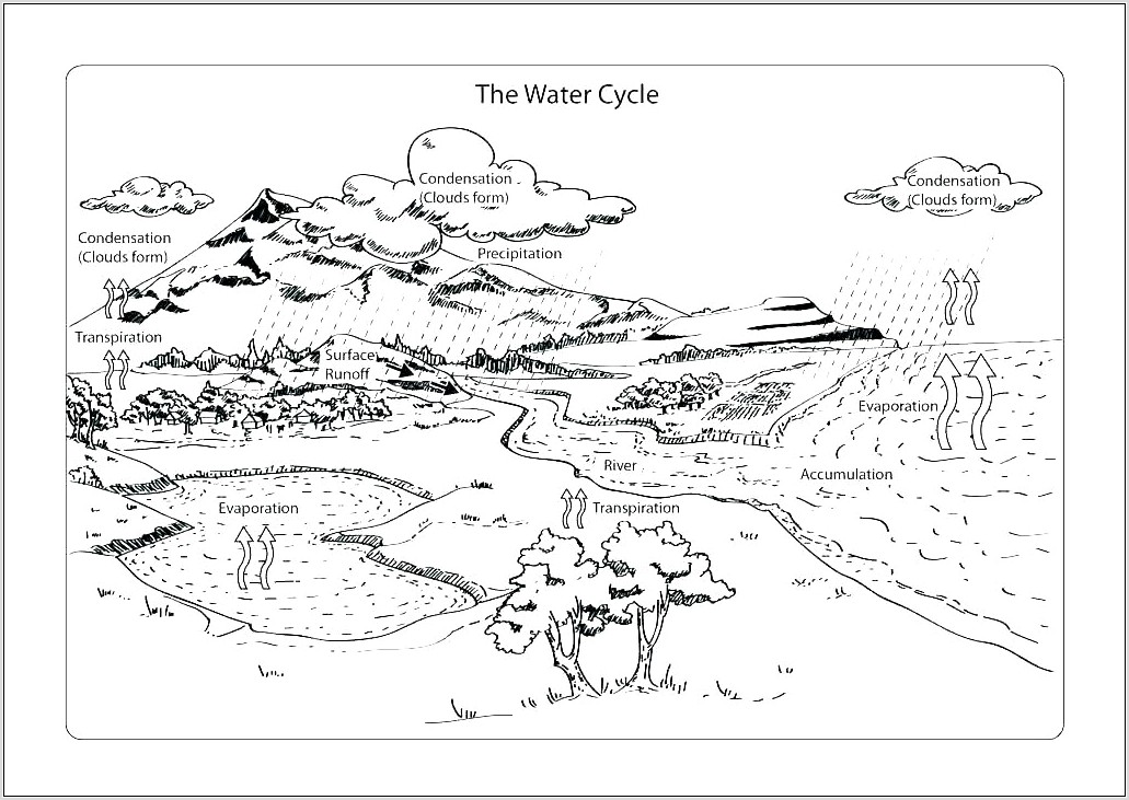 Water Cycle Worksheet Middle School Pdf