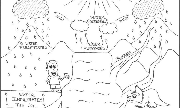 Water Cycle Worksheet Online