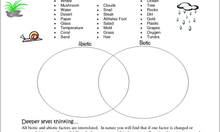 Water Cycle Worksheet Tes