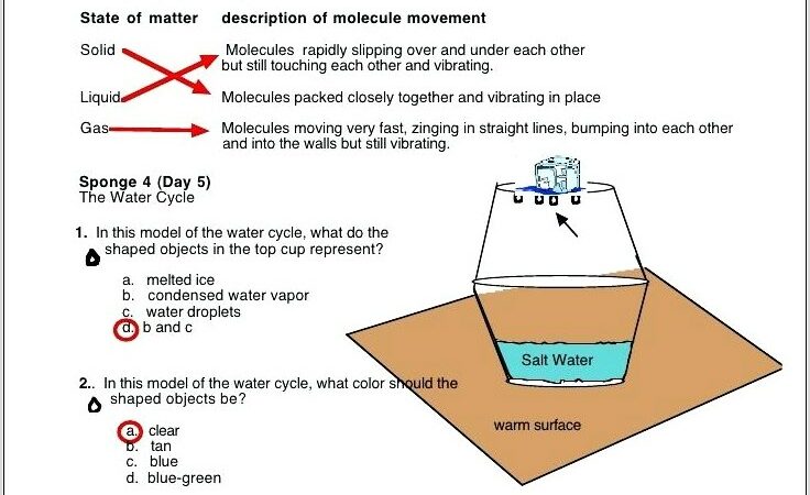 Water Cycle Worksheet Third Grade