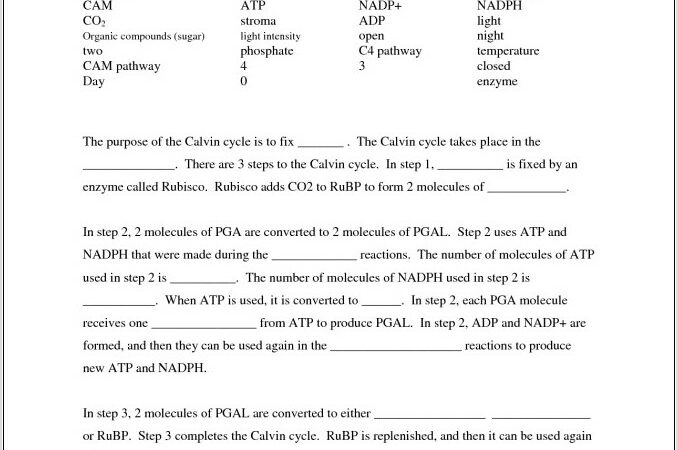 Water Cycle Worksheet To Color