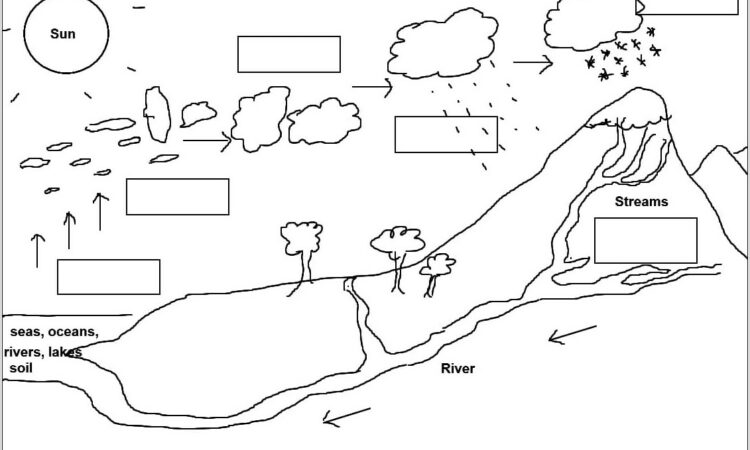 Water Cycle Worksheet To Fill In