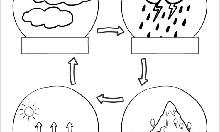 Water Cycle Worksheet With Answer Key