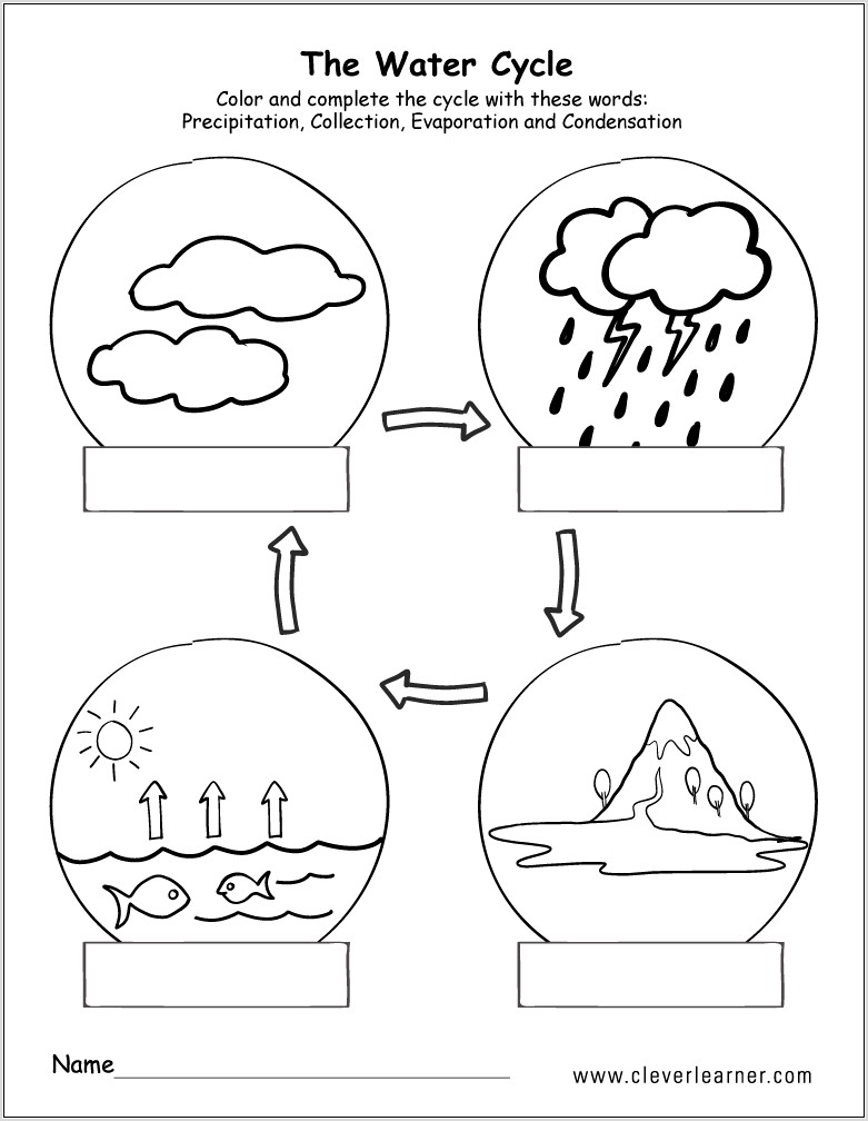 Water Cycle Worksheet With Answer Key
