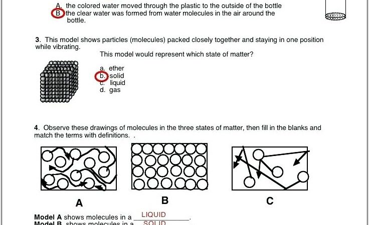 Water Cycle Worksheet With Answers