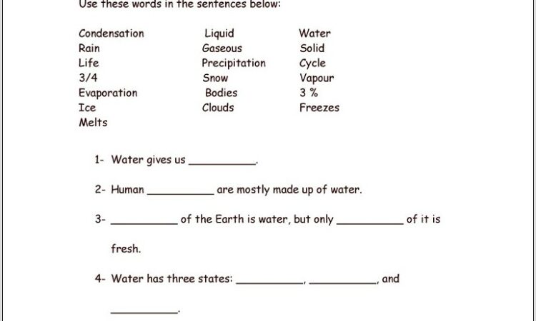 Water Cycle Worksheet Year 1